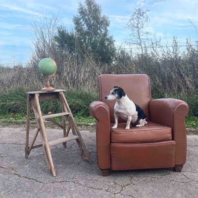 fauteuil_club_vintage